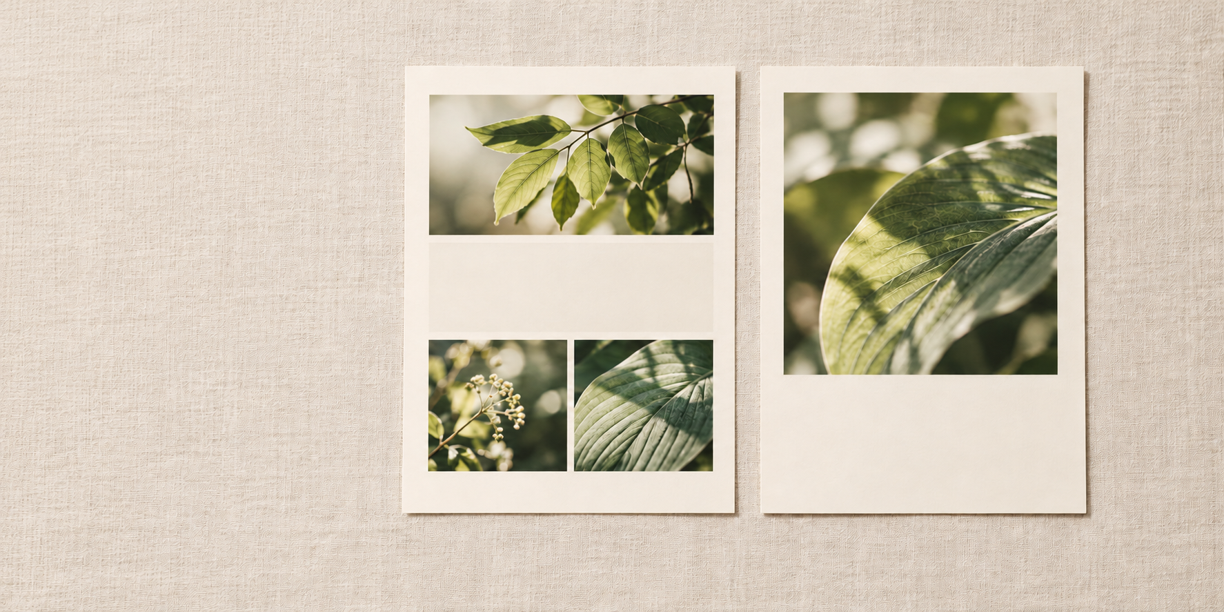 三つの植物画像を置いた紙面と、大きな葉の画像を一つ置いた紙面が、布の上に並んでいる